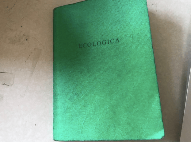 Screen Shot 2018-06-14 at 9.57.13 AM.png